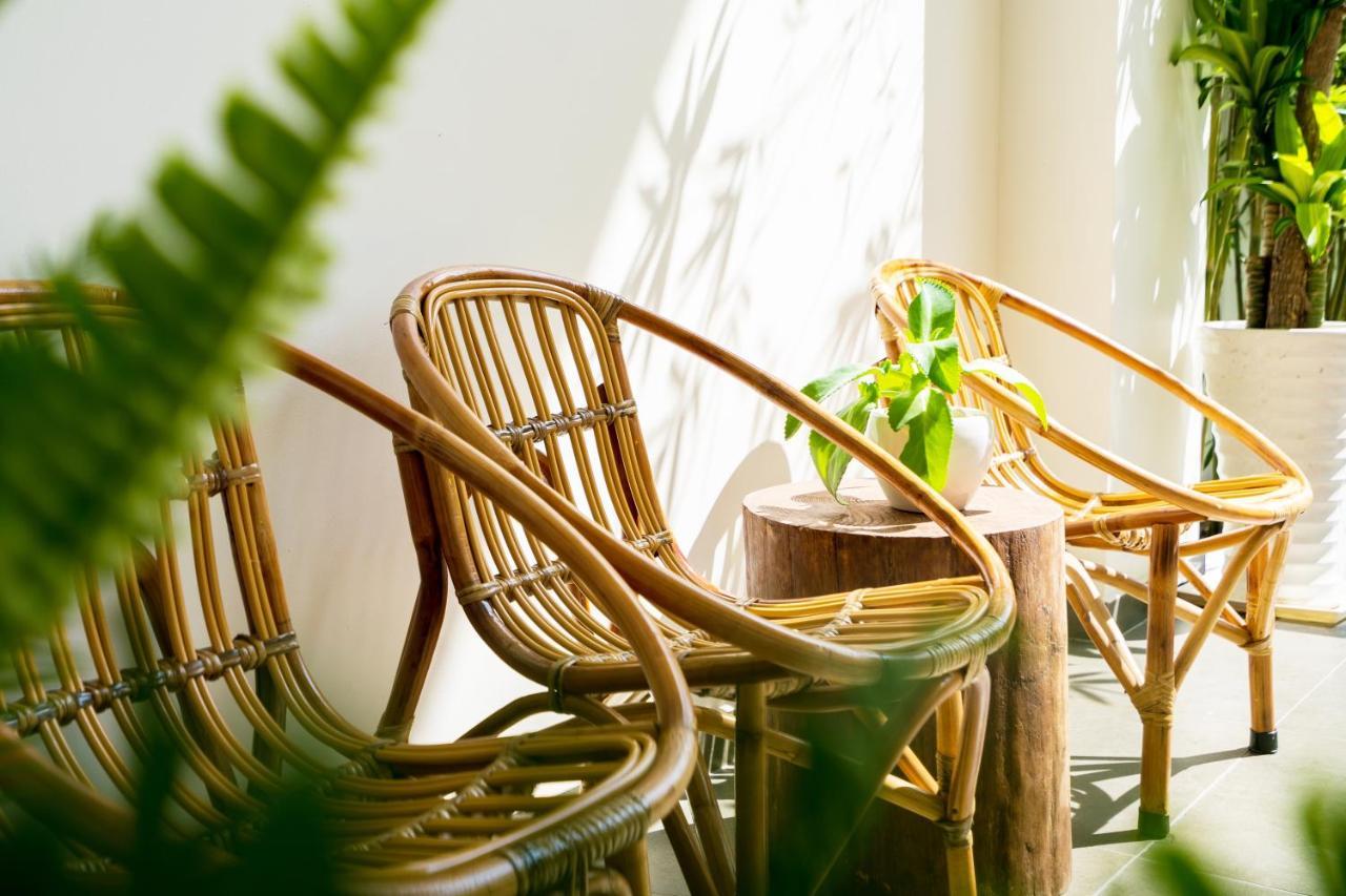 Khách sạn hẻo lánh Mecozy Apartel 2*